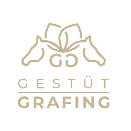  Logo & Social Media Paket für Gestüt