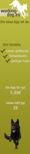 Design von Pixelschubserto