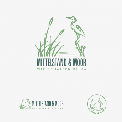 Design von Kartsy